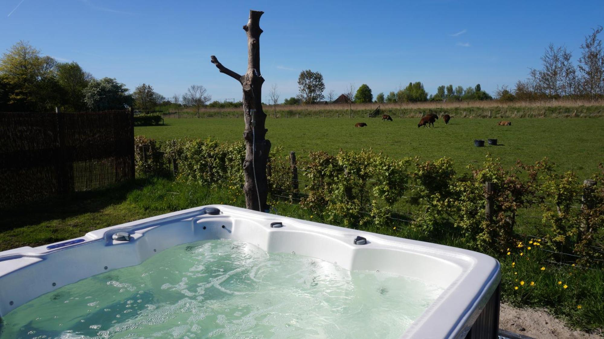 Bed And Breakfast Het Schapenlandje Waarland Kültér fotó